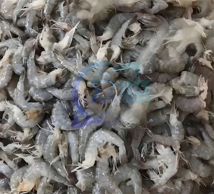 Shrimp head and shell sorting machine cleaning machine processing plant assembly line Shrimp head removed