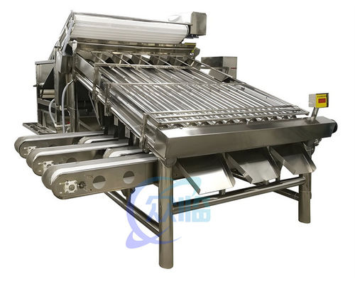 Small Stable Shrimp Grading Machine Multiscene For Fish Sorting