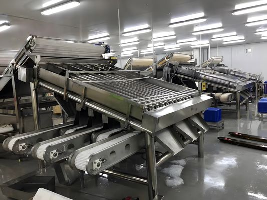 Small Stable Shrimp Grading Machine Multiscene For Fish Sorting