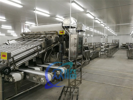 Efficient Small Fish Grader Machine Mackerel Grading System Large Capacity 5T/H