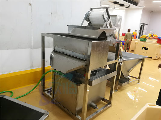 Shrimp whisker separation machine Seafood Processing Factory Batch Shrimp Washing Machine Shrimp washing machine