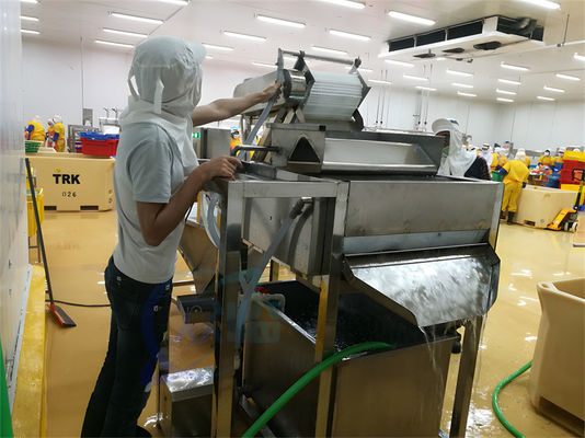 Shrimp whisker separation machine Seafood Processing Factory Batch Shrimp Washing Machine Shrimp washing machine