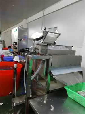 Shrimp whisker separation machine Seafood Processing Factory Batch Shrimp Washing Machine Shrimp washing machine