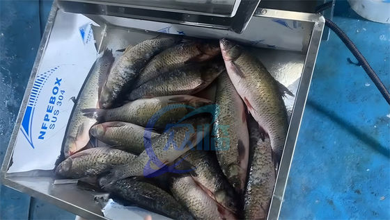 Factory Direct Sales Of Stainless Steel Fish Processing Equipment Fish Scale Scraping Machine Fish Scale Cutting Equipme