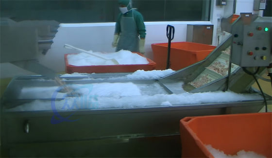 Seafood Processing Plant Frozen Fish And Shrimp Washing Water Cycle Thawing Machine Shrimp Processing Washing Machine