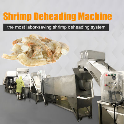 Stainless steel shrimp head removal processing line Shrimp head body separation and sorting machine