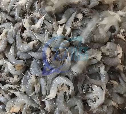 Stainless steel shrimp head removal processing line Shrimp head body separation and sorting machine