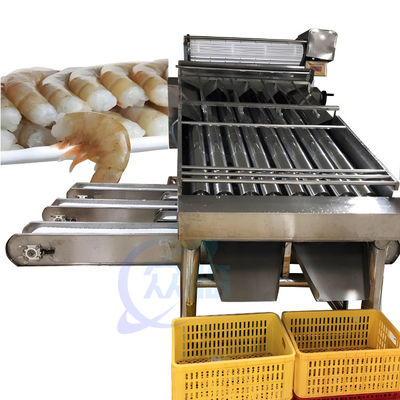 Farmed shrimp harvest rapid sorting and size specification machine Shrimp sorting machine