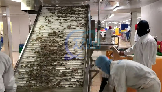 Farmed shrimp harvest rapid sorting and size specification machine Shrimp sorting machine