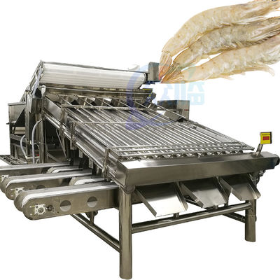 Lobster sorting and grading machine Shrimp grading machine Shrimp sorting machine