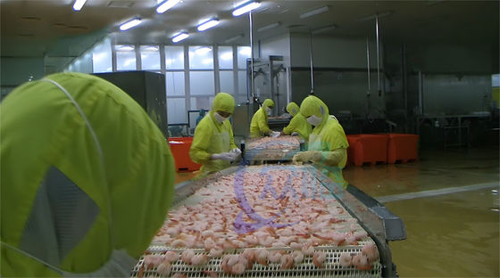 Seafood processing factory large batch fish and shrimp poaching machine Sushi Shrimp Production Line Steam oven machine