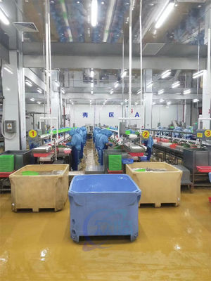 Lifting platform raw material feeding machine fish and shrimp high pressure cleaning machine lifting conveyor belt
