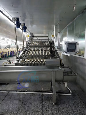 Fully automatic shrimp peeling production line The overall material is 304 stainless steel Shrimp Washing Machine