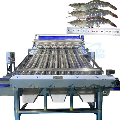 Shrimp processing fully automatic shrimp shelling line Shrimp impurity removal and sorting machine