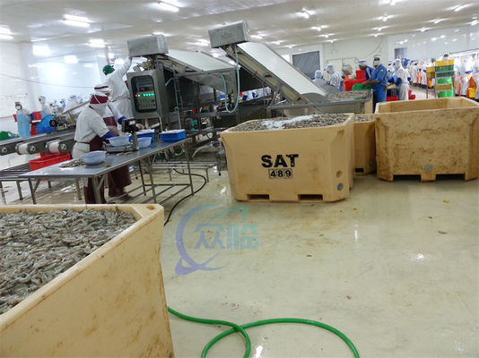 Seafood and shrimp grading processing machine, shrimp and fish sorting machine, crayfish and shrimp grading machine