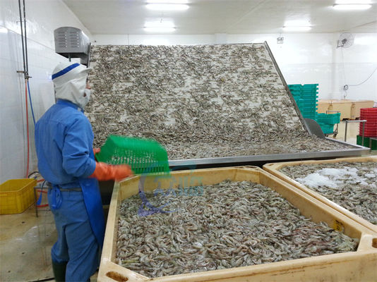 Seafood and shrimp grading processing machine, shrimp and fish sorting machine, crayfish and shrimp grading machine