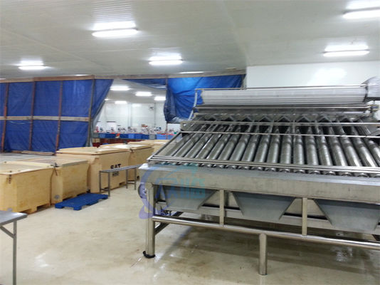 Fully automatic food grade stainless steel shrimp 18-roller drum grader