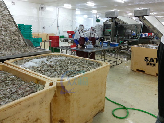 Fully automatic food grade stainless steel shrimp 18-roller drum grader