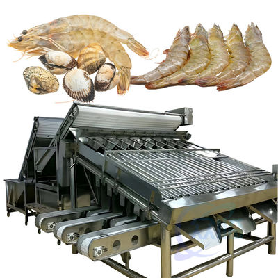 Automated Food Processing Line Fish Sorting Machine Shrimp Cleaning And Sorting Machine