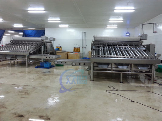 Automated Food Processing Line Fish Sorting Machine Shrimp Cleaning And Sorting Machine