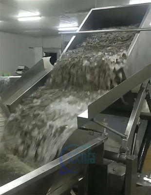 Shrimp processing and feeding machine for large insulated giant refrigerator
