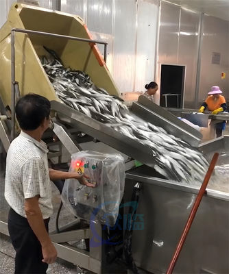 Shrimp processing and feeding machine for large insulated giant refrigerator