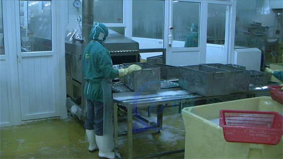 Sushi stainless steel cleaning machine customized shrimp boiling machine belt steam blanching machine