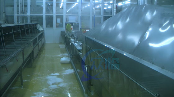 Sushi stainless steel cleaning machine customized shrimp boiling machine belt steam blanching machine