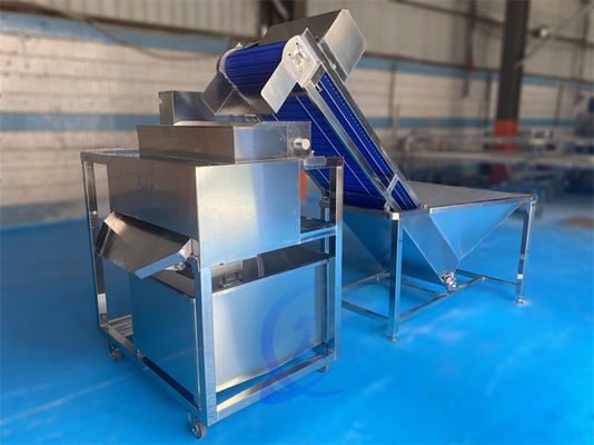 Shrimp cleaning and lifting machine, shrimp shell separator, shrimp shell and hair picking machine