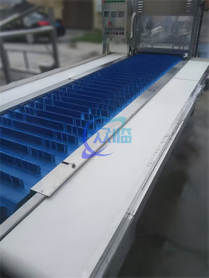 Mackerel Cutting Machine Fish Processing Conveyor Belt Qingzhan Fish Cutting Machine