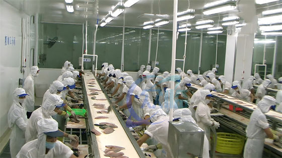sardines, tilapia, squid, catfish peeling machine, hot-selling fish skin peeling machine fish processing line