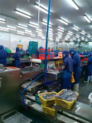 Semi-automatic Fish Skinning Machine Sashimi Fish Skinning Machine