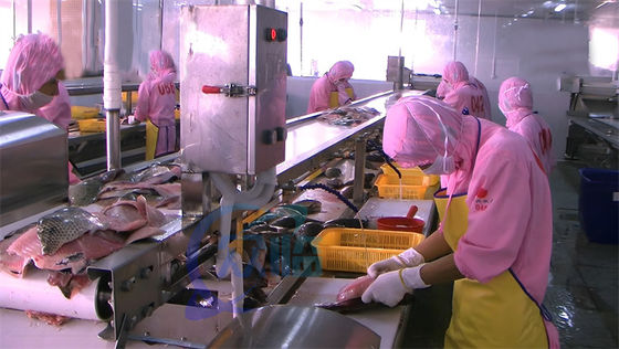 Semi-automatic fish peeling machine fish processing and peeling production line electric peeling machine
