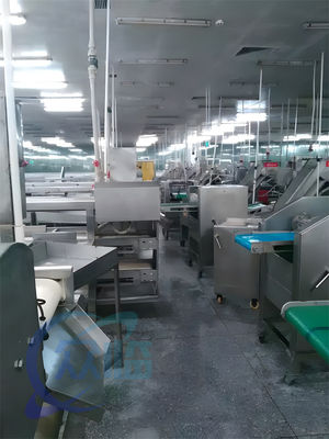 Fish Processing Equipment Automatic Stainless Steel Peeling Machine Squid Tilapia Peeling And Washing Machine