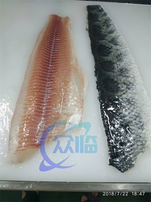 Restaurant Tilapia Fish Skinning Machine Multipurpose Anti Erosion
