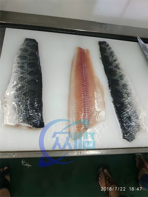 Restaurant Tilapia Fish Skinning Machine Multipurpose Anti Erosion