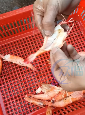 Sushi Shrimp Cutting Machine Cooked Shrimp Cutter Automatic Prawn Cutter
