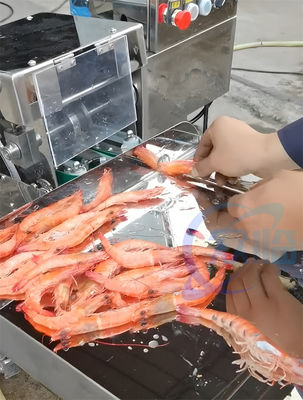 Sushi Shrimp Cutting Machine Cooked Shrimp Cutter Automatic Prawn Cutter