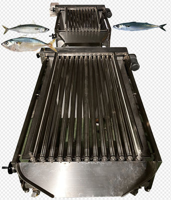 Four Styles Automatic Fish Grading Line And Soring Mackerel Machine