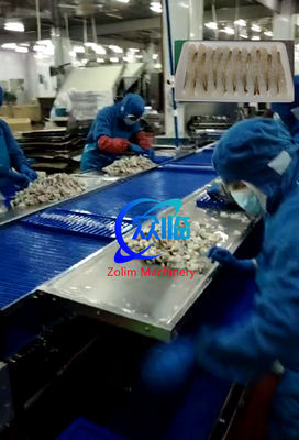 Automatic Tempura Shrimp Stretching Machine, NOBASHI Machine, Shrimp Stretcher Line