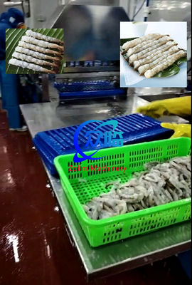 Automatic Tempura Shrimp Stretching Machine, NOBASHI Machine, Shrimp Stretcher Line