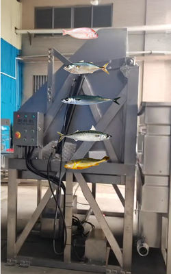 Four Models Automatic Fish Processing Line And Sorting Small Fish Line With 5-10T/H