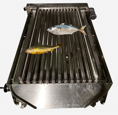 Four Models Automatic Fish Classifying Machine And Soring Ocean Fish High Qutality