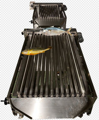 Four Models Automatic Fish Classifying Machine And Soring Ocean Fish High Qutality