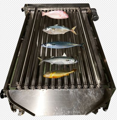 High Quality PLC Control Fish Grading Line For Sorting Small Fish With Automatic