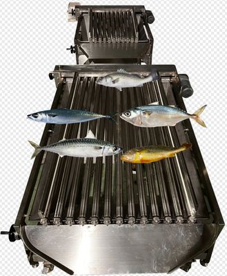 Most Stable Sardine Fish Grading Machine, Sorting Other Small Fish With Large Capacity