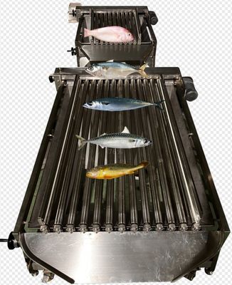 4 Styles Automatic Fish Classifying Machine And Sorting Small Fish Line With 5-10T/H