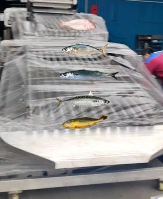 4 Styles Automatic Fish Classifying Machine And Sorting Small Fish Line With 5-10T/H