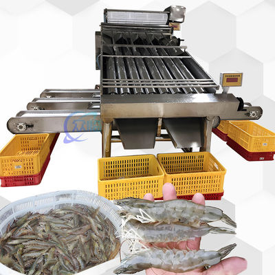 دستگاه طبقه بندی 3P Multiscene Shrimp Automatic Multi Function