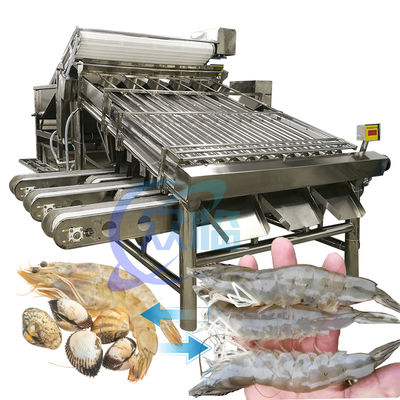 قیمت خوب ماشین طبقه بندی خرچنگ از فولاد ضد زنگ 6000x4000x2200mm عملی آنلاین